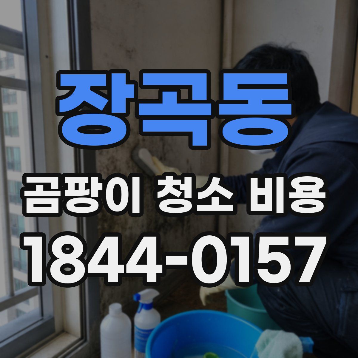 장곡동 곰팡이 청소 비용