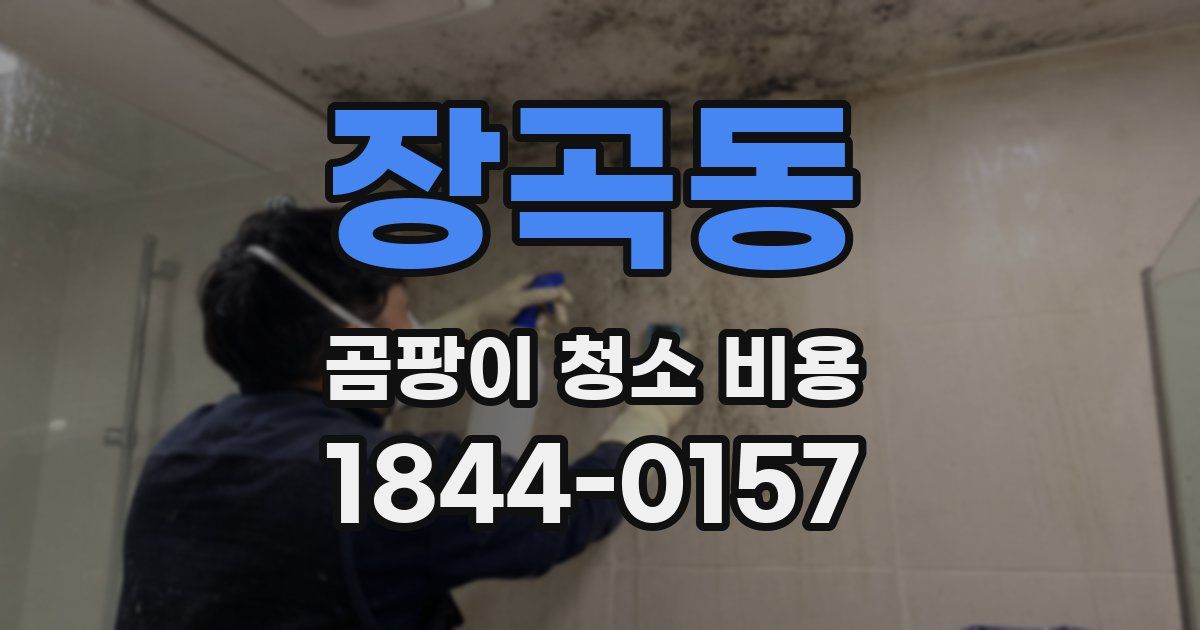 장곡동 곰팡이 청소 비용