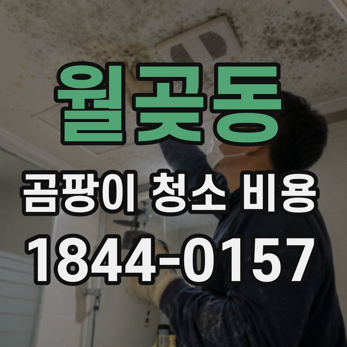 월곶동 곰팡이 청소 비용