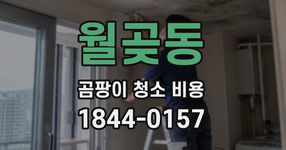 월곶동 곰팡이 청소 비용