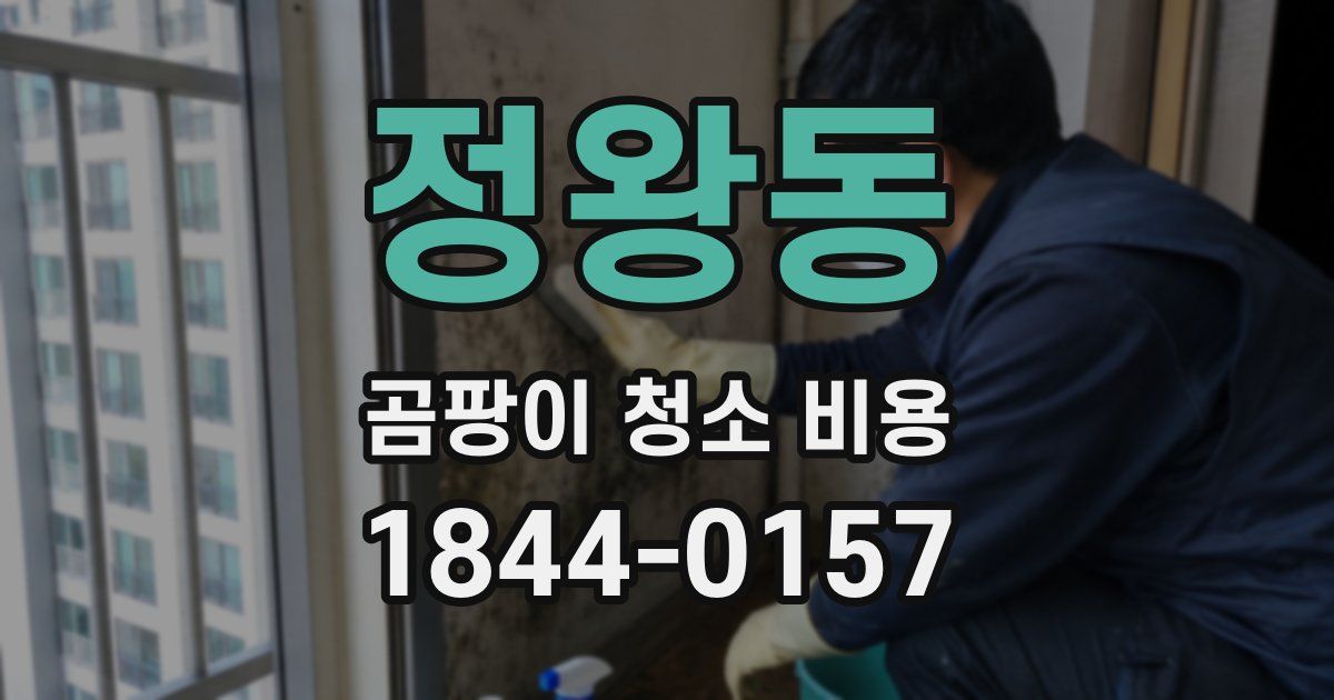 정왕동 곰팡이 청소 비용