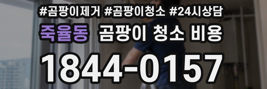 죽율동 곰팡이 청소 비용