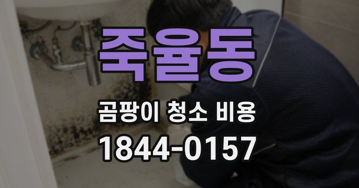 죽율동 곰팡이 청소 비용