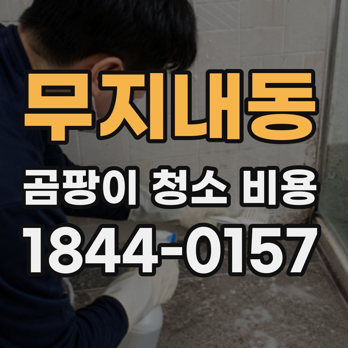 무지내동 곰팡이 청소 비용