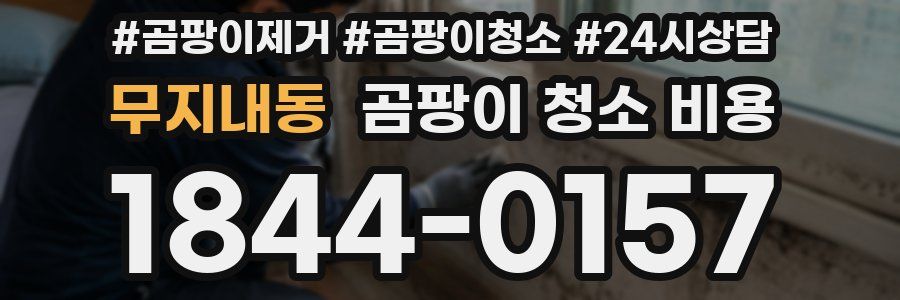 무지내동 곰팡이 청소 비용