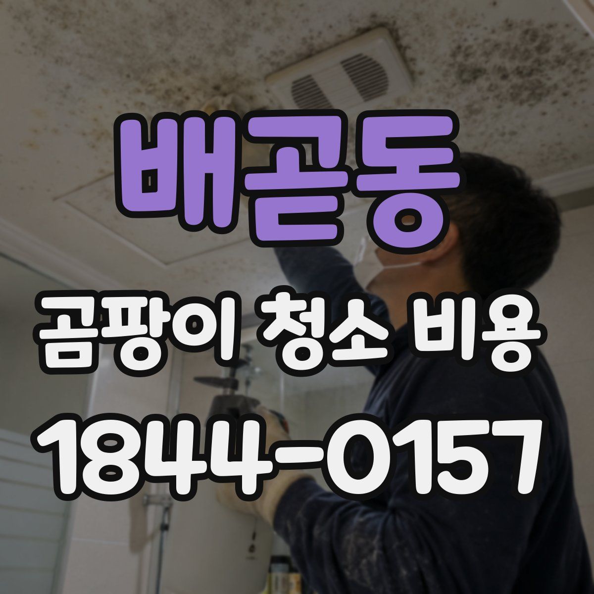 배곧동 곰팡이 청소 비용