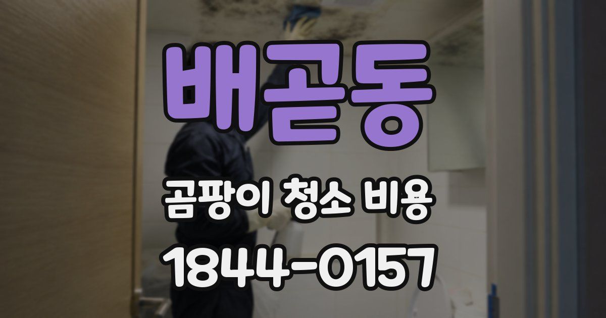 배곧동 곰팡이 청소 비용
