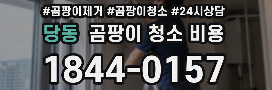 당동 곰팡이 청소 비용