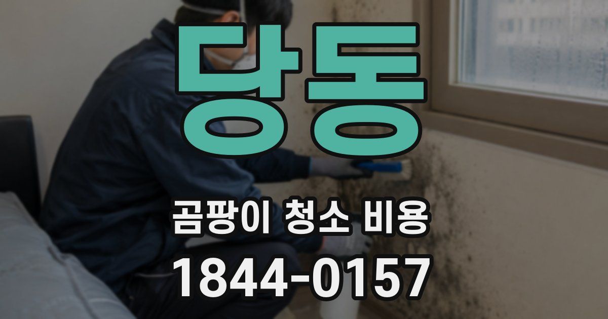 당동 곰팡이 청소 비용