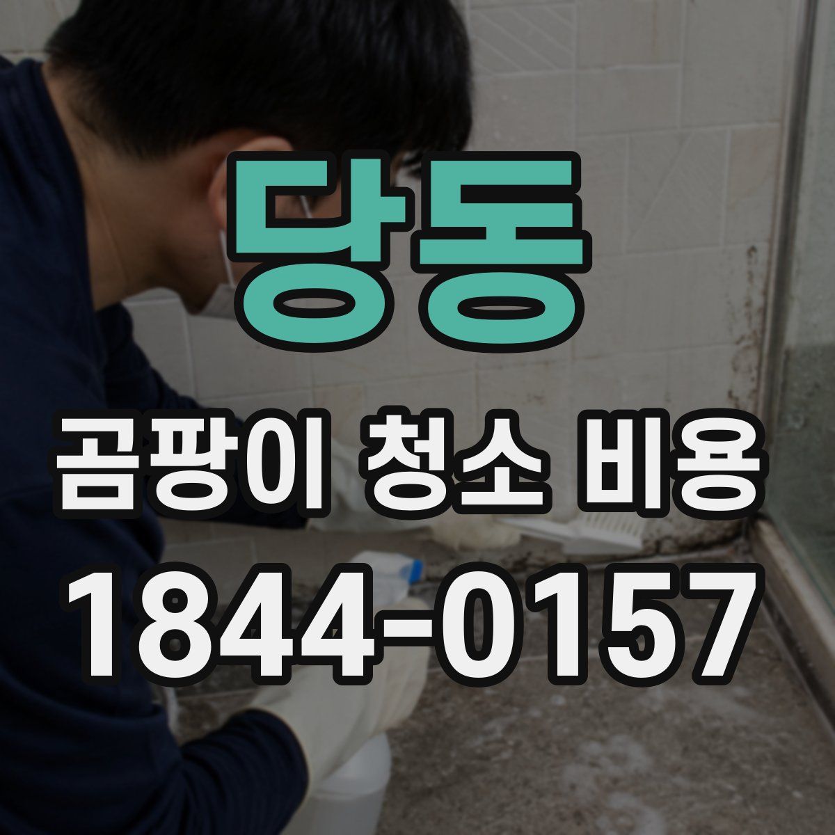 당동 곰팡이 청소 비용