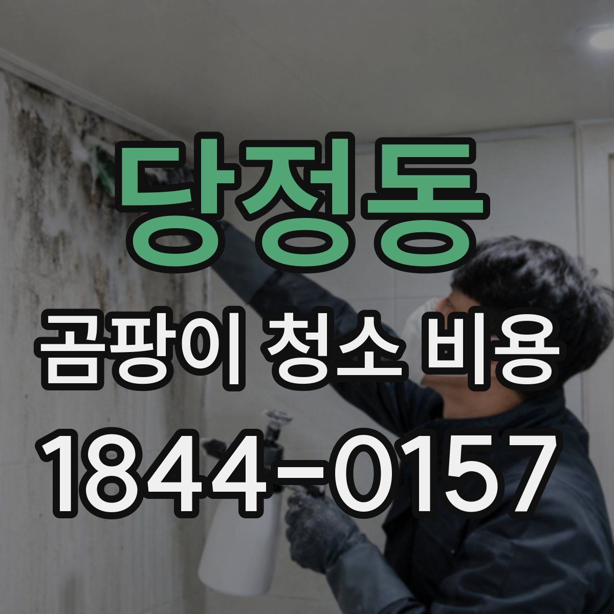 당정동 곰팡이 청소 비용