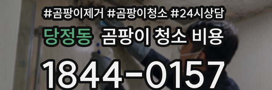 당정동 곰팡이 청소 비용