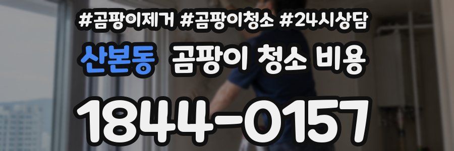 산본동 곰팡이 청소 비용