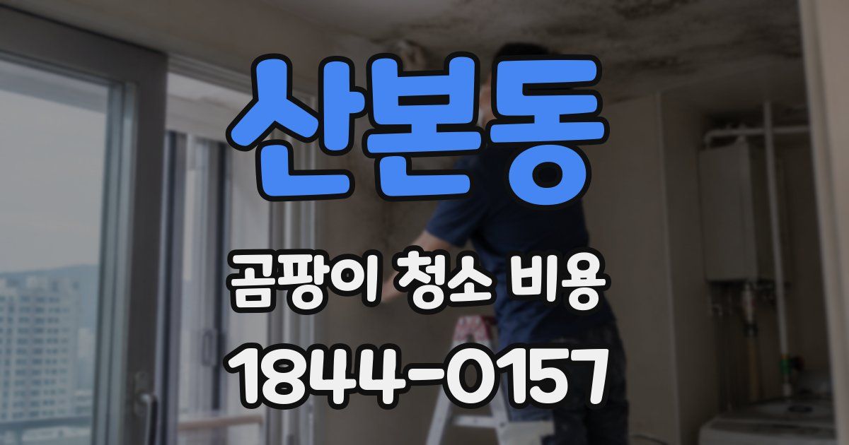 산본동 곰팡이 청소 비용