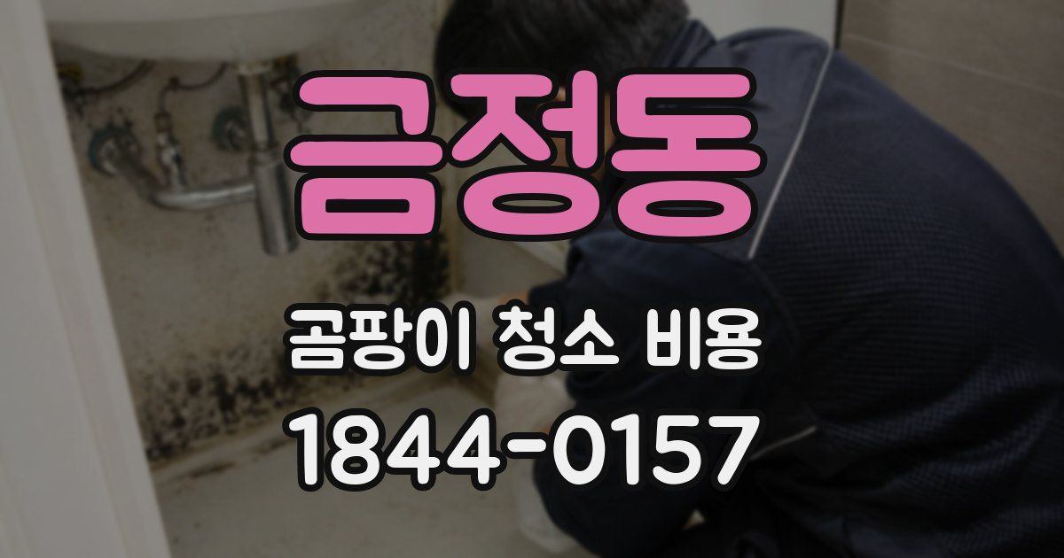 금정동 곰팡이 청소 비용