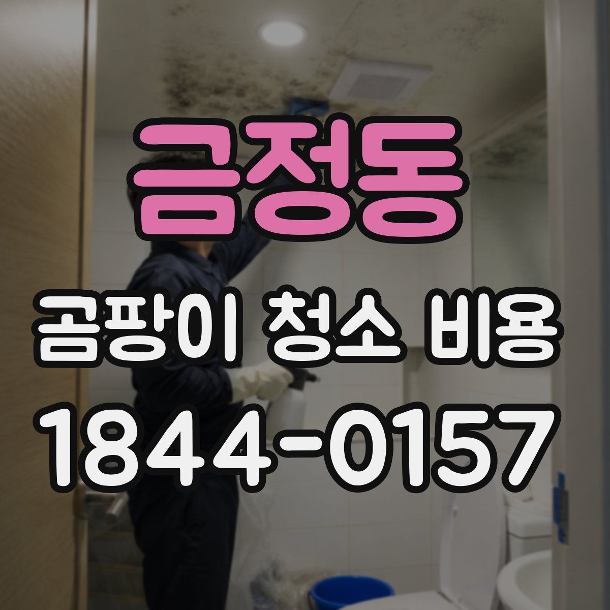 금정동 곰팡이 청소 비용