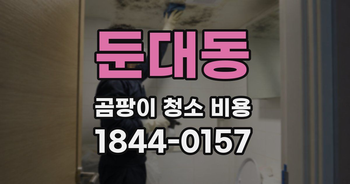 둔대동 곰팡이 청소 비용