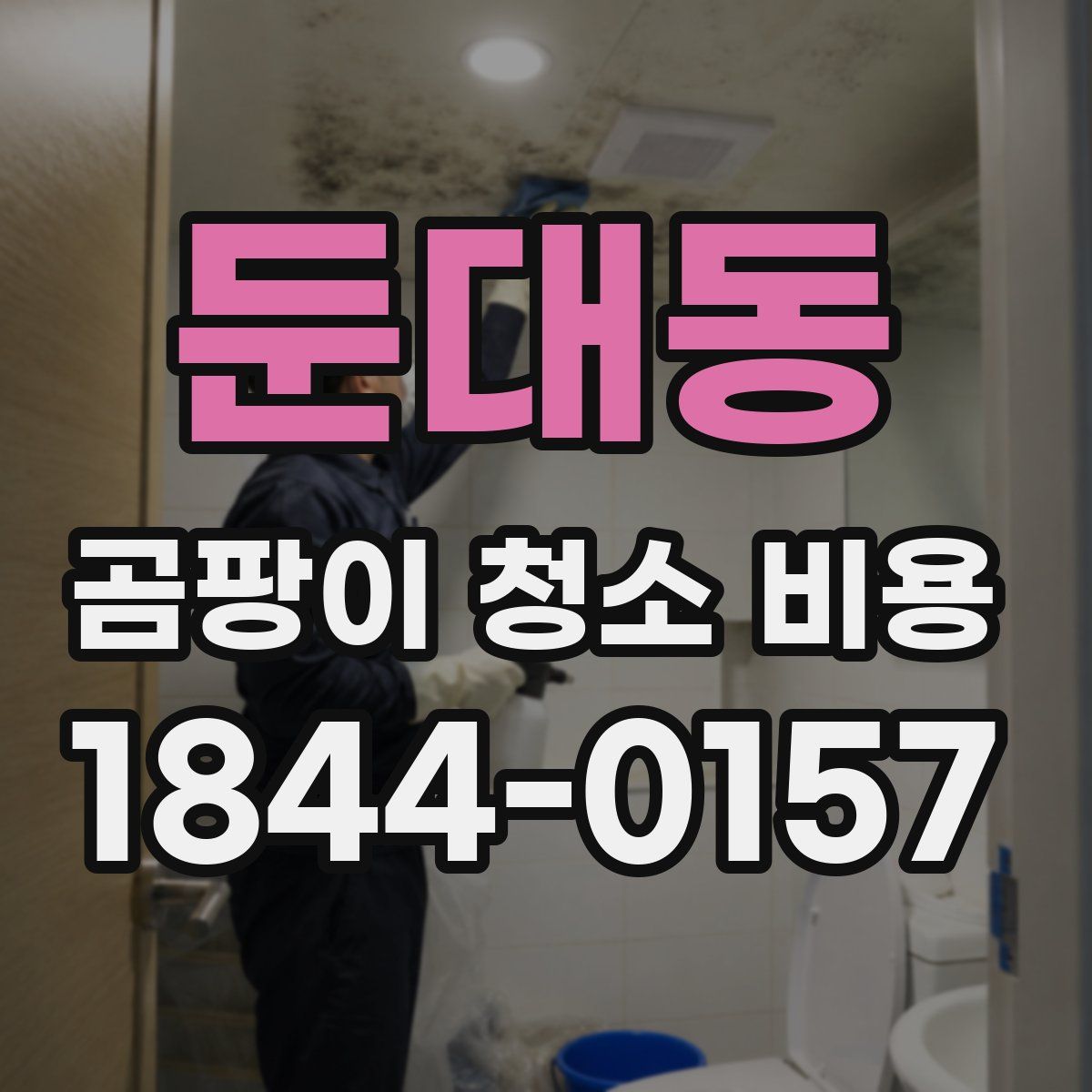 둔대동 곰팡이 청소 비용