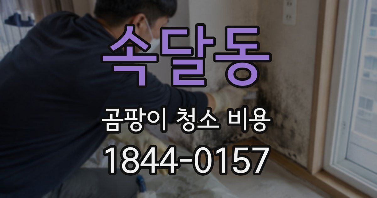 속달동 곰팡이 청소 비용