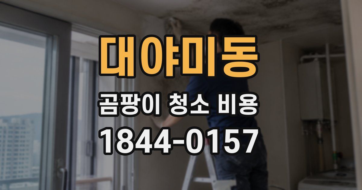 대야미동 곰팡이 청소 비용