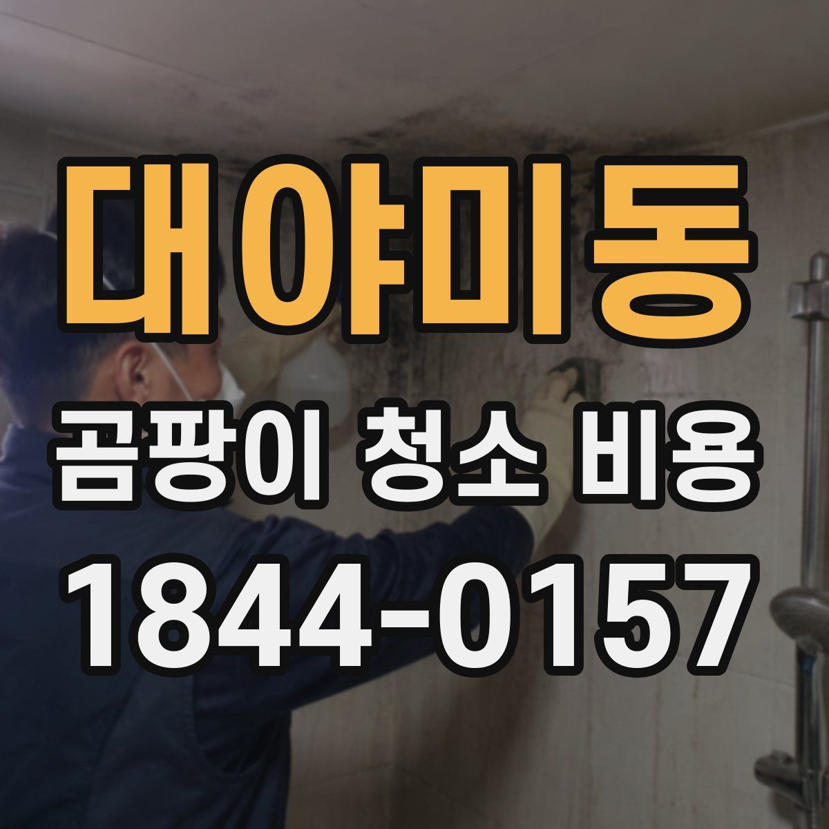 대야미동 곰팡이 청소 비용