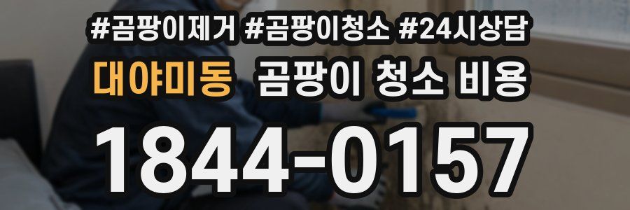 대야미동 곰팡이 청소 비용