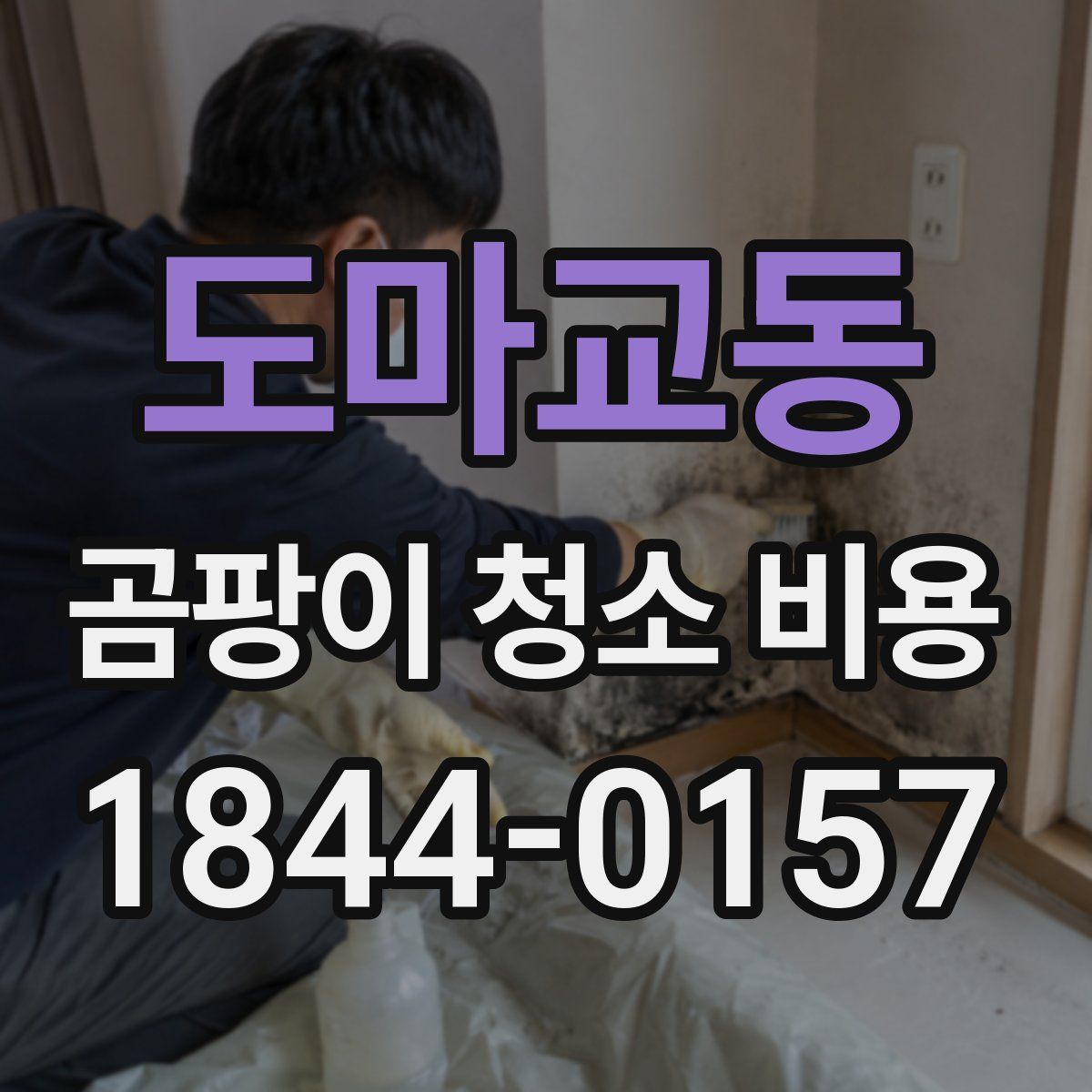 도마교동 곰팡이 청소 비용
