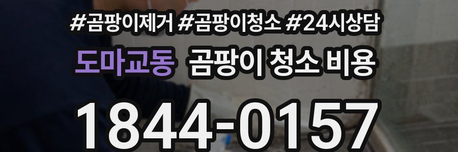 도마교동 곰팡이 청소 비용