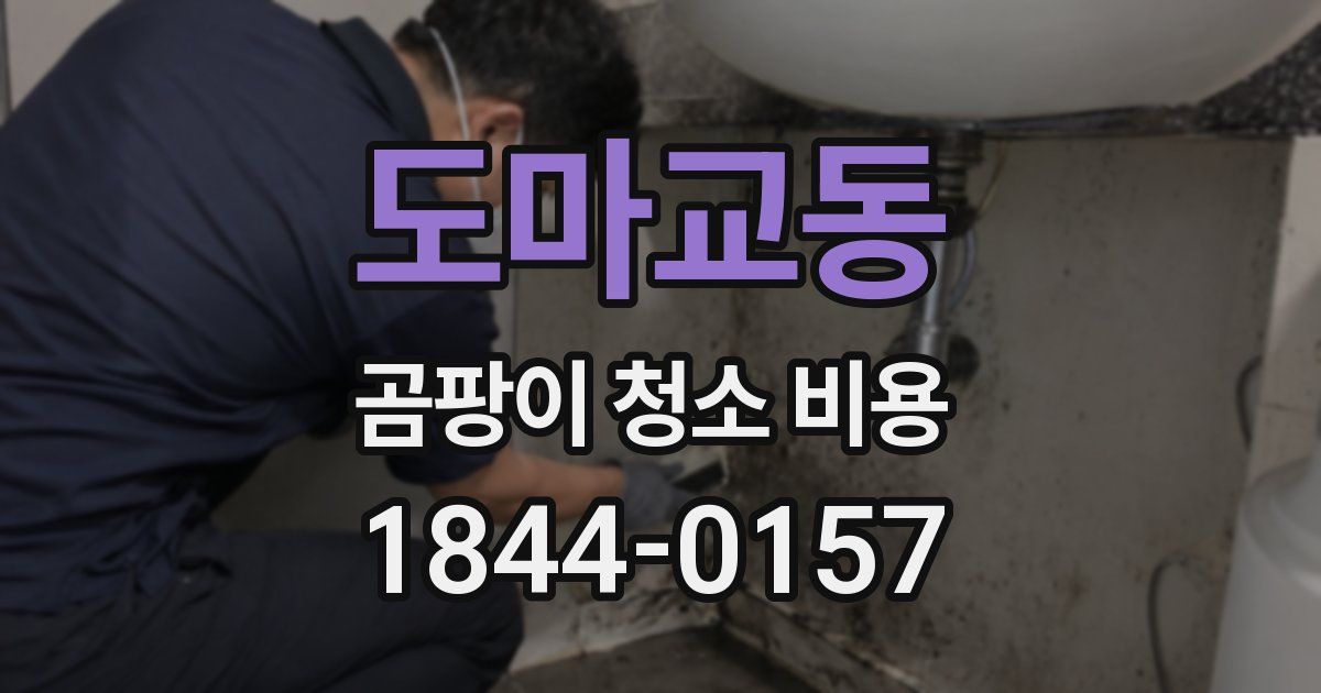 도마교동 곰팡이 청소 비용