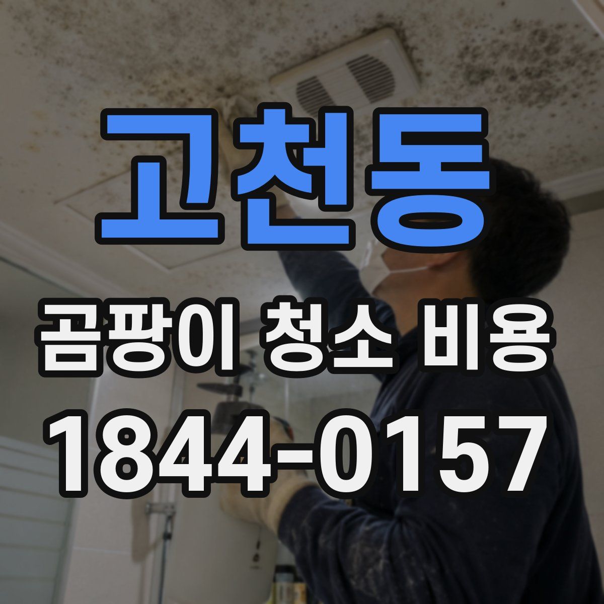 고천동 곰팡이 청소 비용