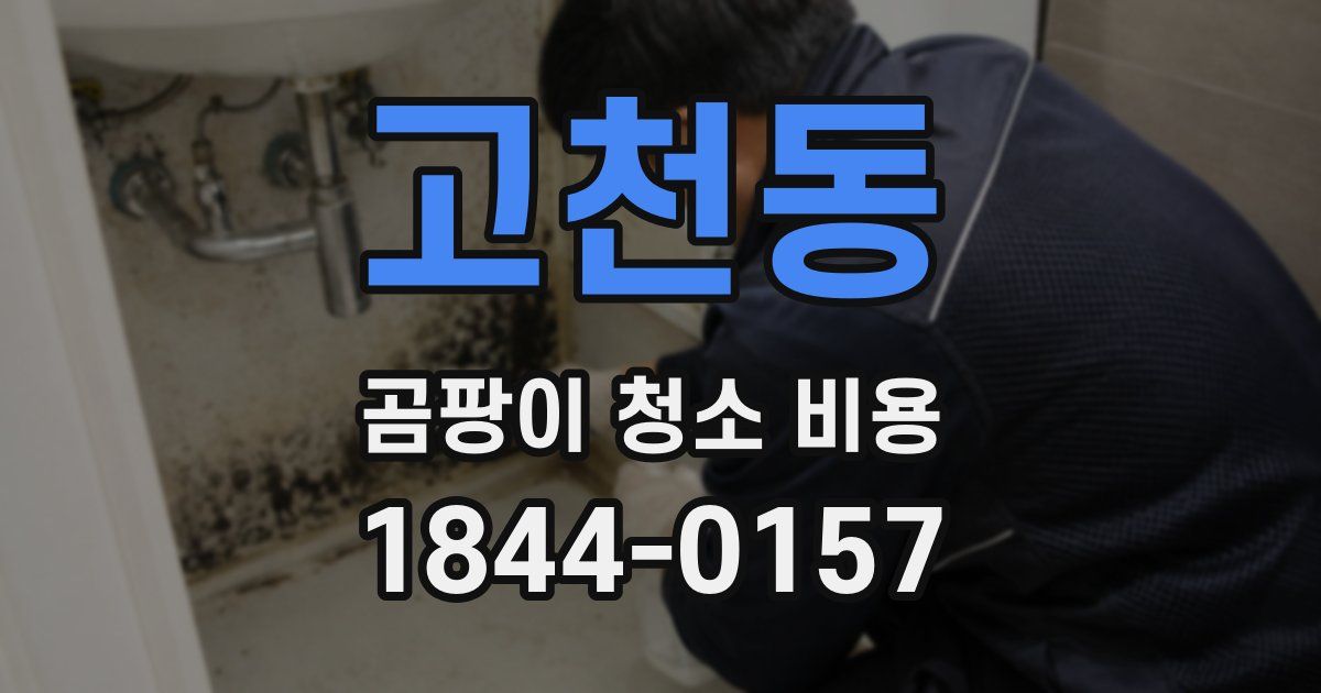 고천동 곰팡이 청소 비용