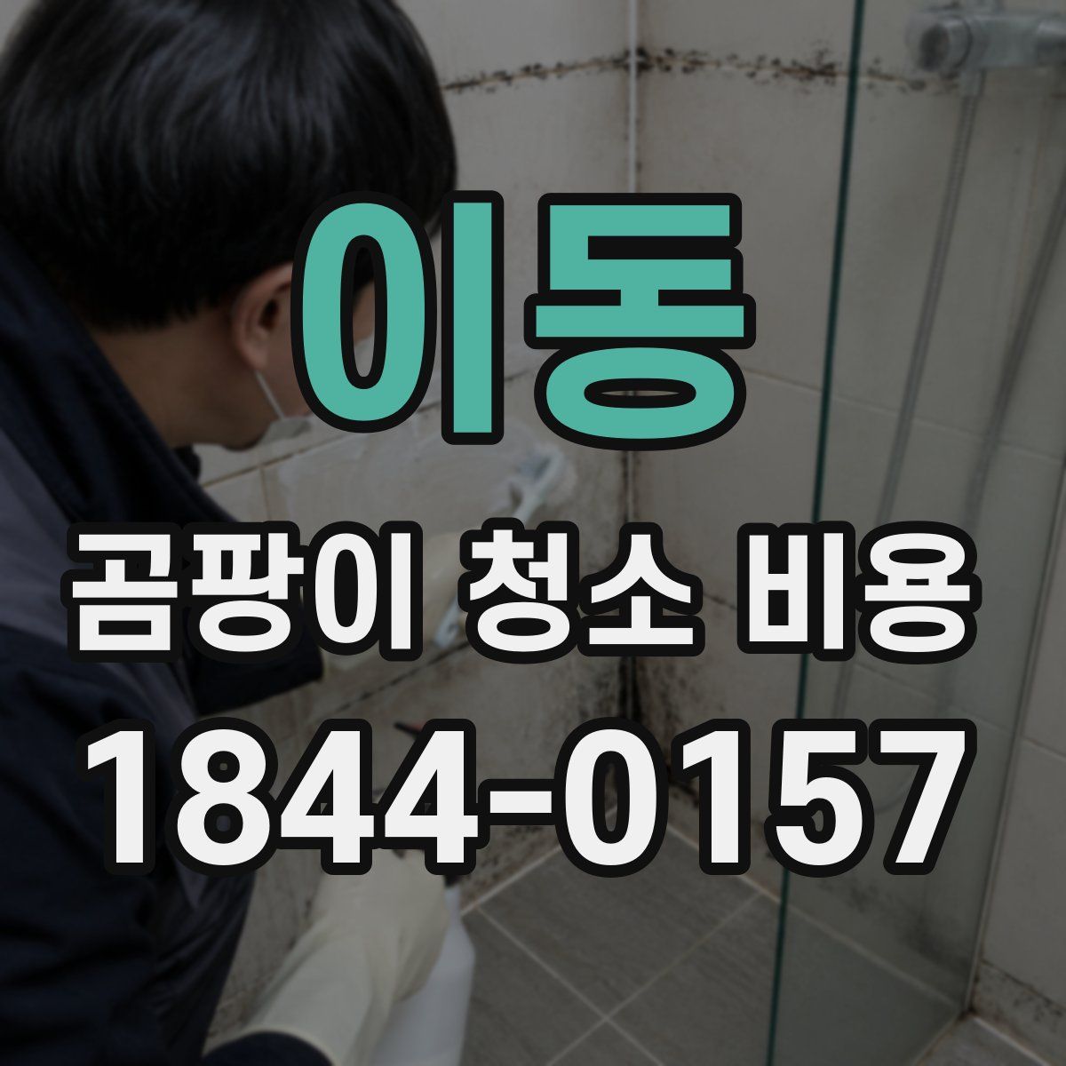 이동 곰팡이 청소 비용