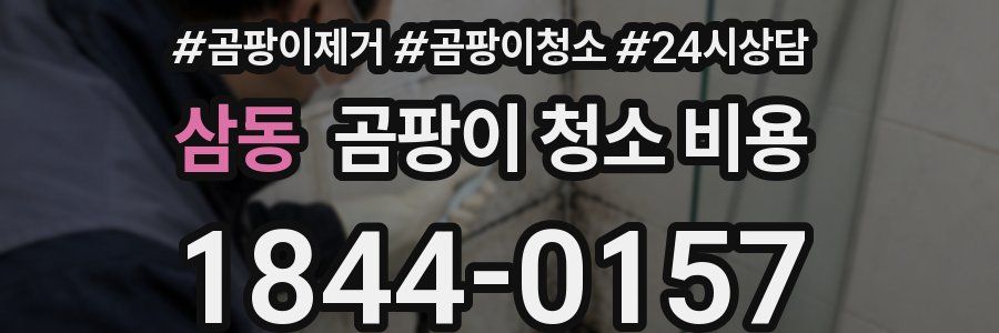 삼동 곰팡이 청소 비용