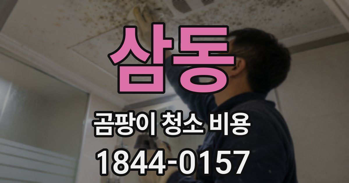 삼동 곰팡이 청소 비용
