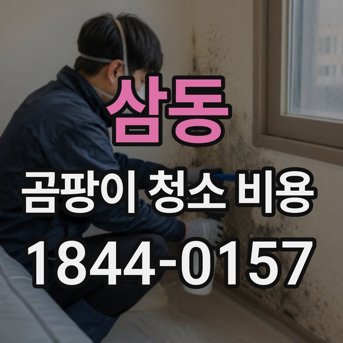 삼동 곰팡이 청소 비용