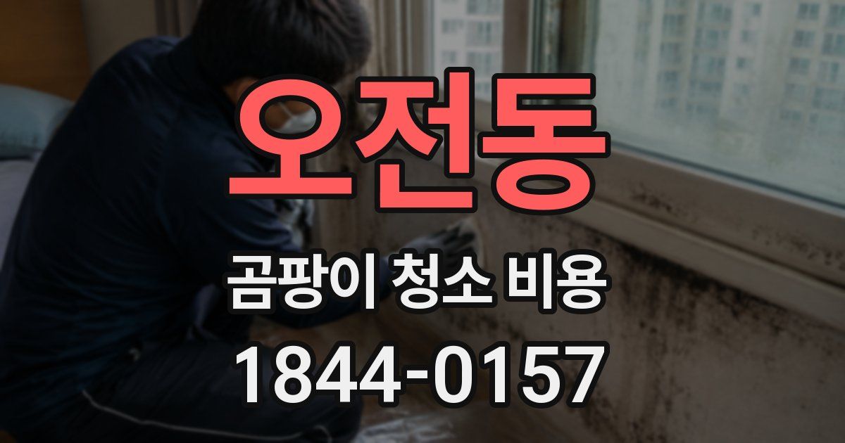 오전동 곰팡이 청소 비용