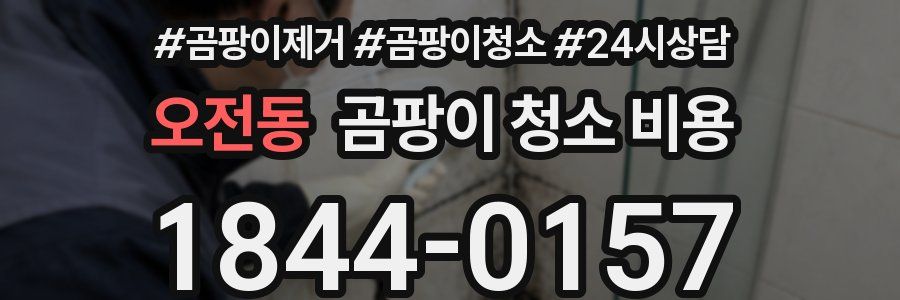 오전동 곰팡이 청소 비용