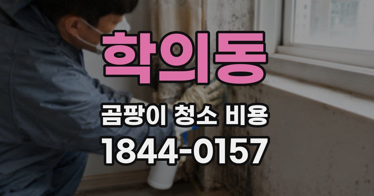 학의동 곰팡이 청소 비용