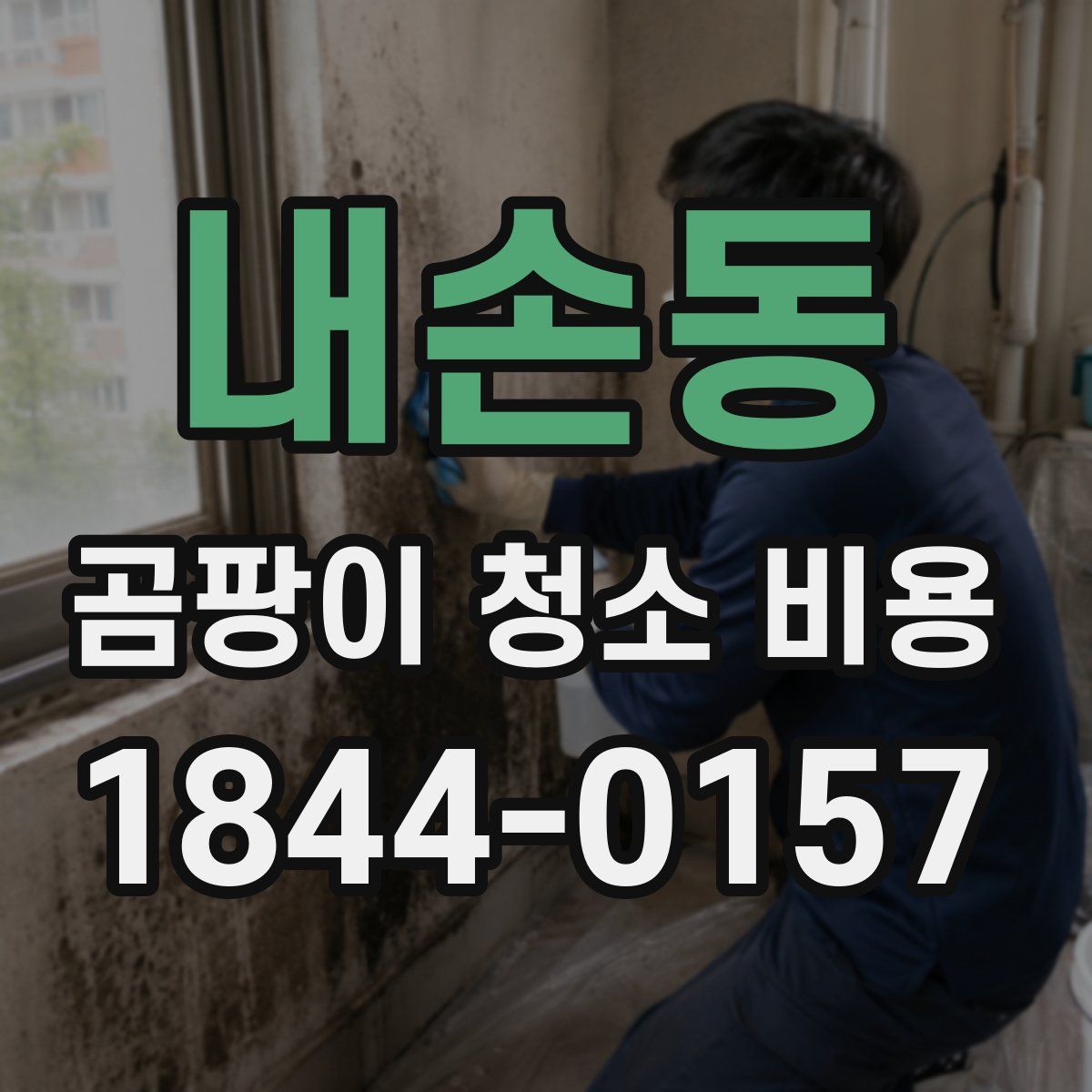 내손동 곰팡이 청소 비용