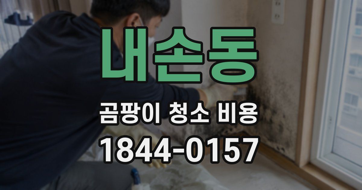 내손동 곰팡이 청소 비용
