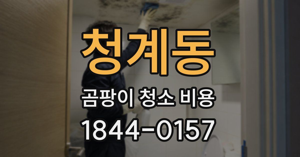 청계동 곰팡이 청소 비용