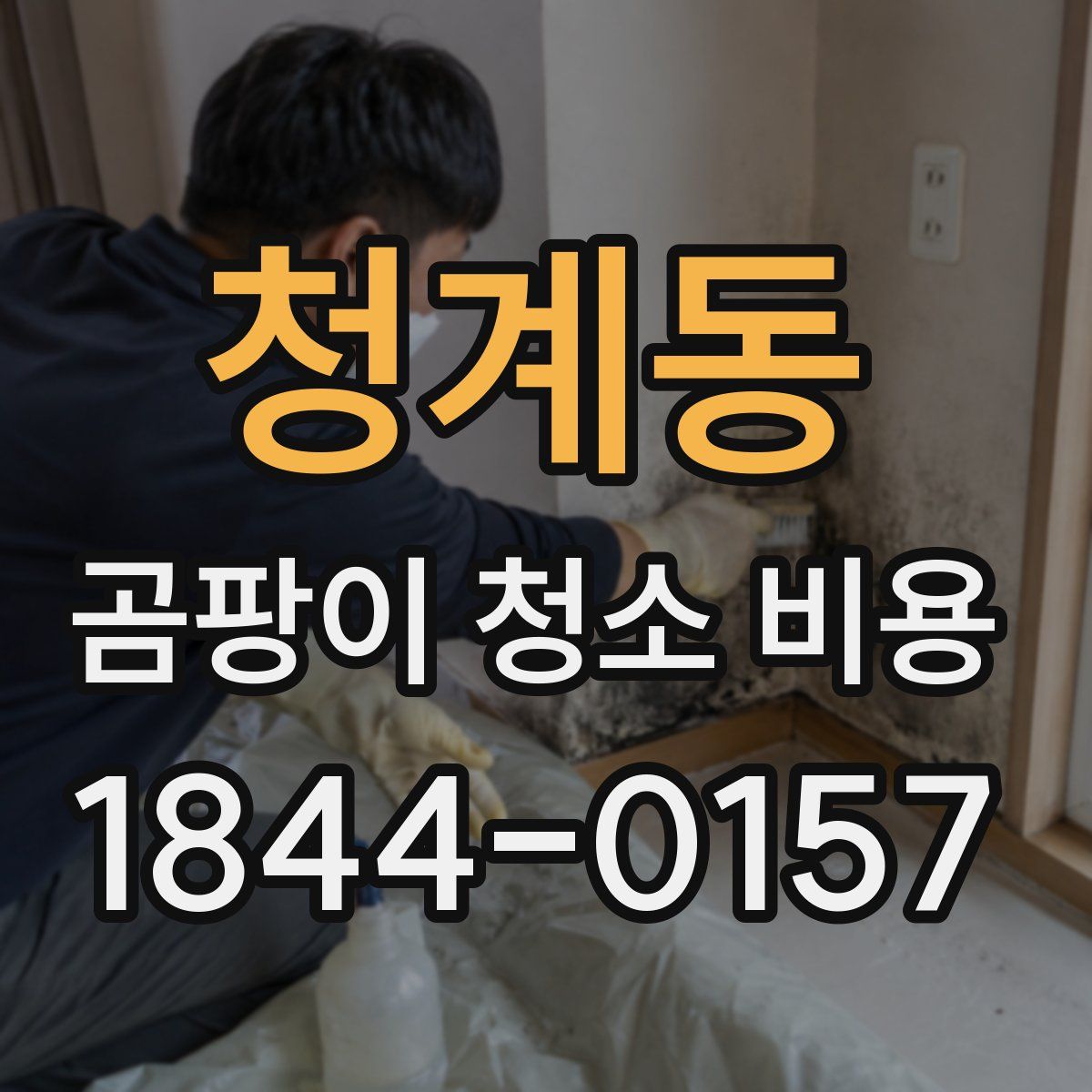 청계동 곰팡이 청소 비용