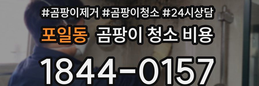 포일동 곰팡이 청소 비용