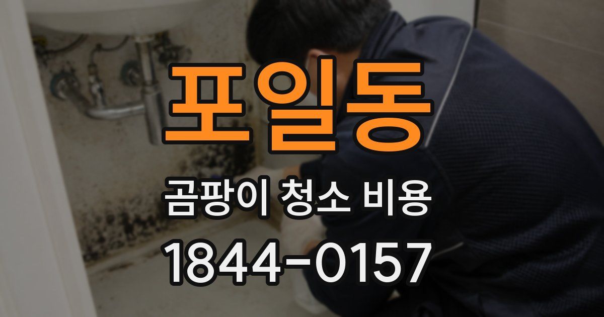 포일동 곰팡이 청소 비용