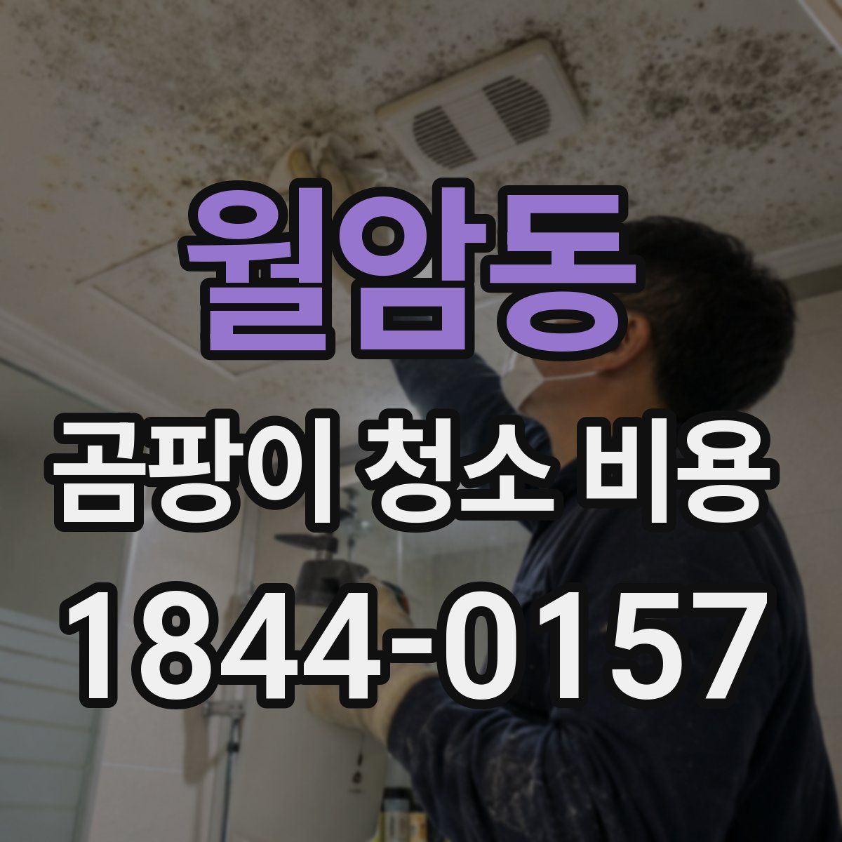 월암동 곰팡이 청소 비용