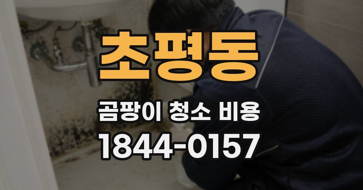 초평동 곰팡이 청소 비용