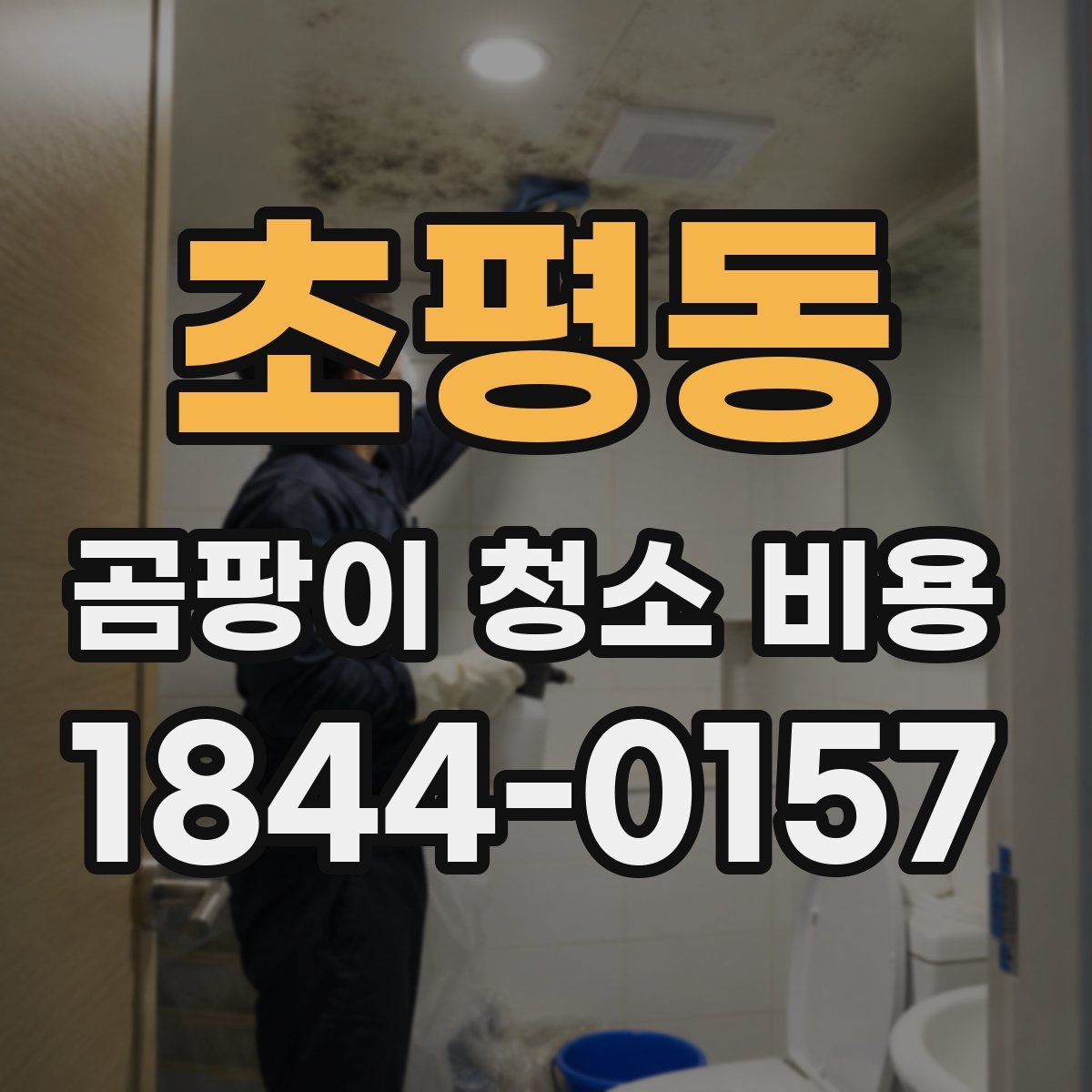 초평동 곰팡이 청소 비용