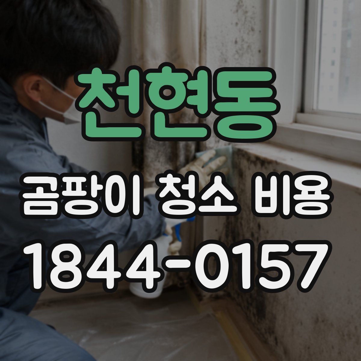 천현동 곰팡이 청소 비용