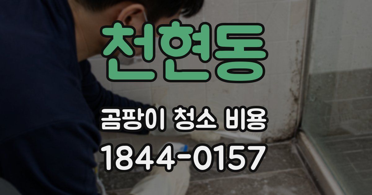 천현동 곰팡이 청소 비용
