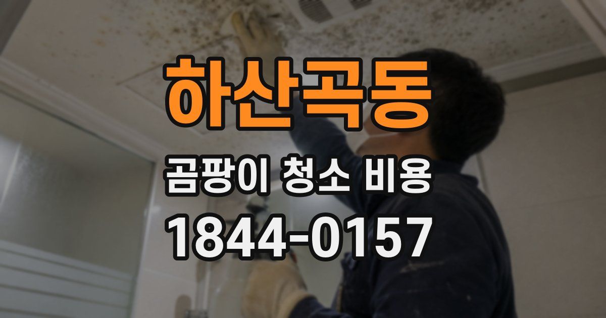 하산곡동 곰팡이 청소 비용